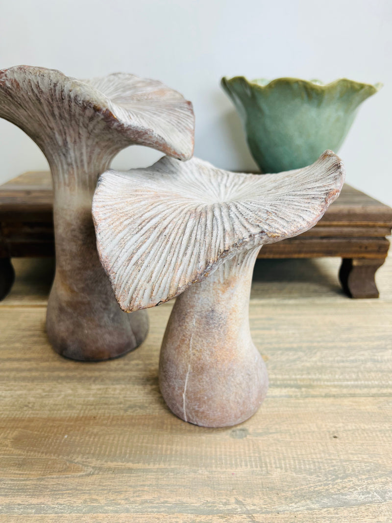 7" Cement Garden Mushroom