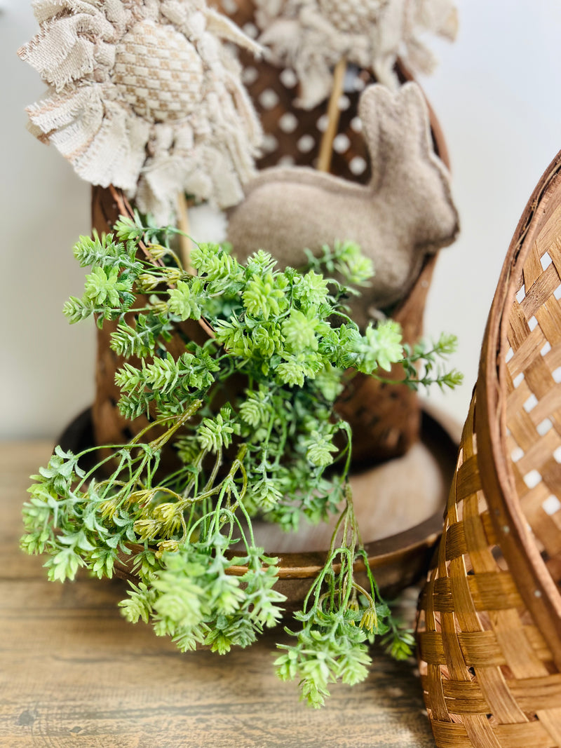 18" Green Sedum Bush