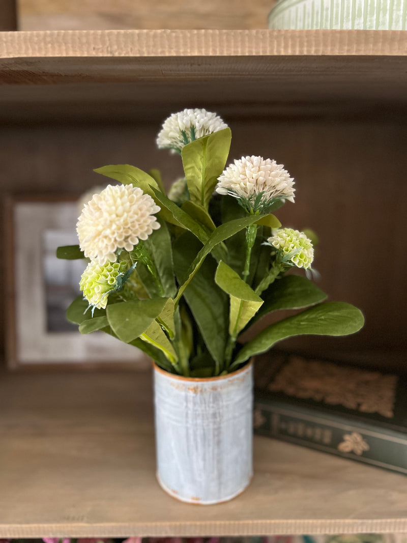13" Dahlia in Tin Planter