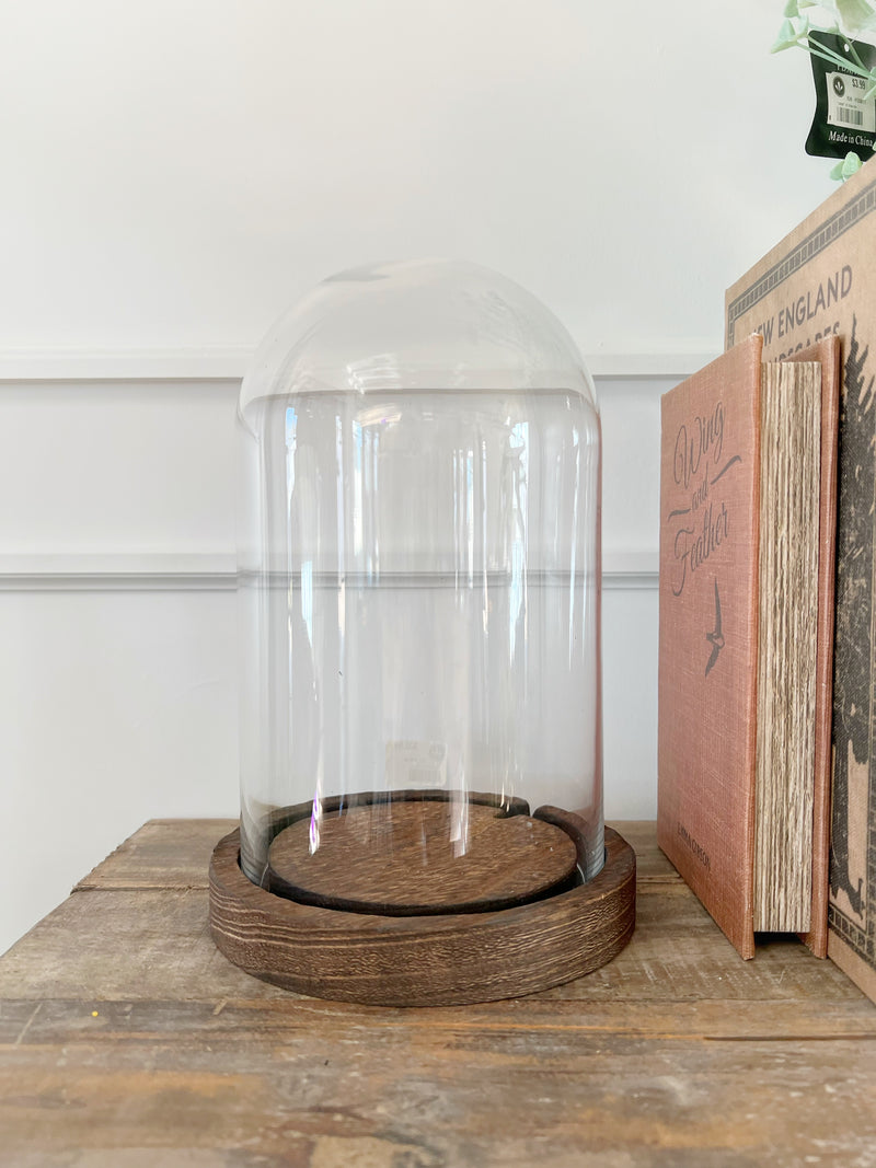 10" Glass Dome Cloche
