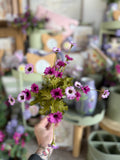 10.5” Daisy Bush - Fuchsia