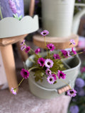 10.5” Daisy Bush - Fuchsia