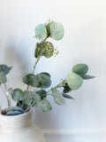 28" Frosted Eucalyptus Spray - Green/White