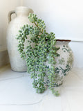 19" Real Touch Donkey Tail Pick - Green