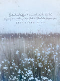 24" x 30" Be Kind And Helpful Flower Field Ephesians 4:32