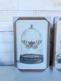 10" x 16" Glass Moth I By Petals Prints Design