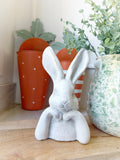 9" White Peter Rabbit Decor