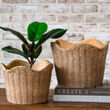 Basket Weave Cement Planters