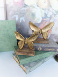 Antique Brass Wood Butterfly Blocks