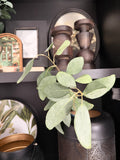 24” Eucalyptus Leaf Spray