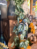 34” Exotic Pothos Vine