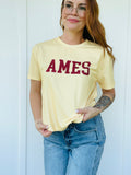 Amia AMES Crop Tee