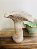 9" Cement Garden Mushroom