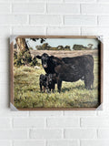 20x16 Black Beauties By Bonnie Mohr