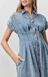 Picnic Denim Midi Dress