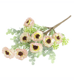 Yellow + Blush Anemone Pick