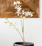 28" White Forsythia Stem
