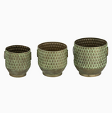 Garden Envy Tin Planters