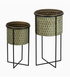 Garden Envy Planters + Stands