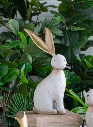 Cedar Falls | Real Deals