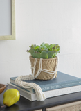 5" Hanging Planter