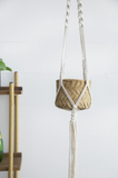 5" Hanging Planter