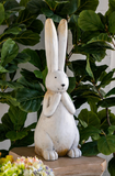 Posey Garden Rabbit