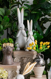 Posey Garden Rabbit