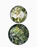 Tropical Oasis Trays