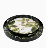Tropical Oasis Trays