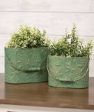 Dragonfly Spring Buckets