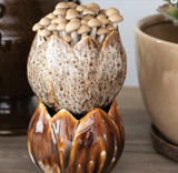 Organic Round Stoneware Planter