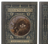 Vintage Forest Book Boxes