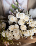 13.5" Cream Mum Bundle
