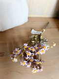 13" Mini Dried Daisy Bundle - Purple