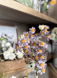 13" Mini Dried Daisy Bundle - Purple