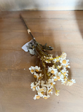 13" Mini Daisy Bundle - Cream