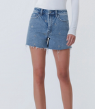 Vervet High Rise Daisy Shorts