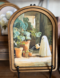 8.5x11 Ghost Watering Plants