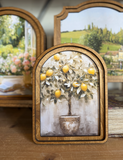 6x8 Lemon Tree Framed Art