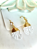 Shell + Pearl Earring