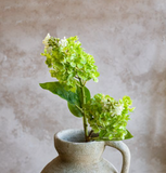 26" Cone Hydrangea Stem - Green