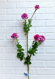 40" Fuchsia Dahlia Spray