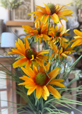 23.5" Black-Eyed Susan Bush