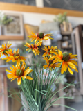 23.5" Black-Eyed Susan Bush