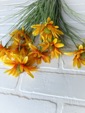 23.5" Black-Eyed Susan Bush