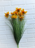23.5" Black-Eyed Susan Bush