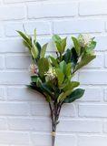 24" Photinia Bundle + Blossom