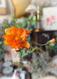 28" Poppy Spray - Orange