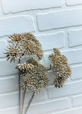 33" Cow Parsnip Spray - Beige